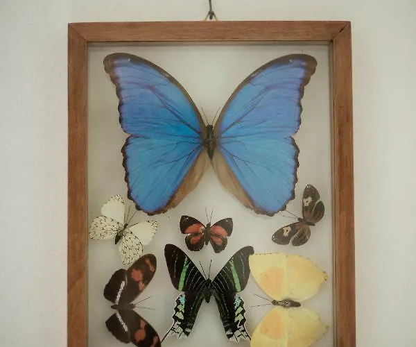 Apartment Przyjazne Mieszkanie Na Starym Miescie Gniezno