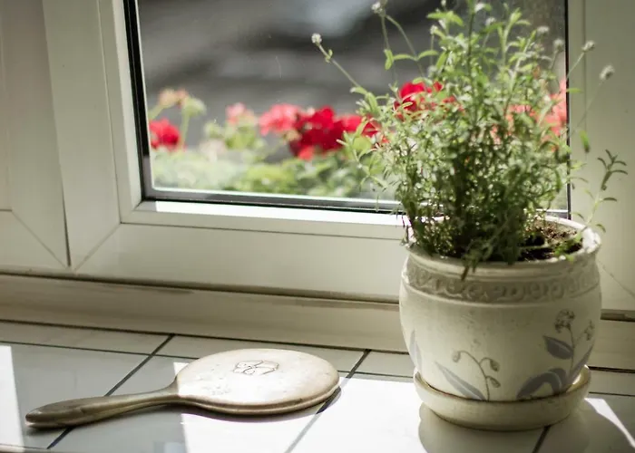 Przyjazne Mieszkanie Na Starym Miescie Apartment *