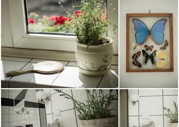 Przyjazne Mieszkanie Na Starym Miescie Apartment