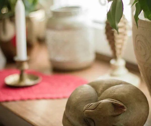 Przyjazne Mieszkanie Na Starym Miescie